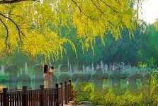 麻豆视频app2020破解版-麻豆视频app2020未授权版本之合法性及代价探讨